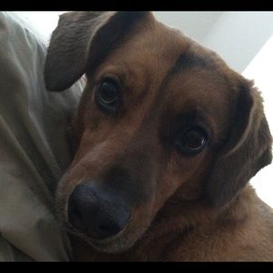 Meet your Posher, Ray